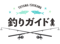 釣りガイド（2/19）岩瀬・八重津浜でホタルイカすくい